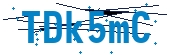 recaptcha
