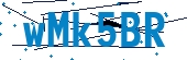 recaptcha